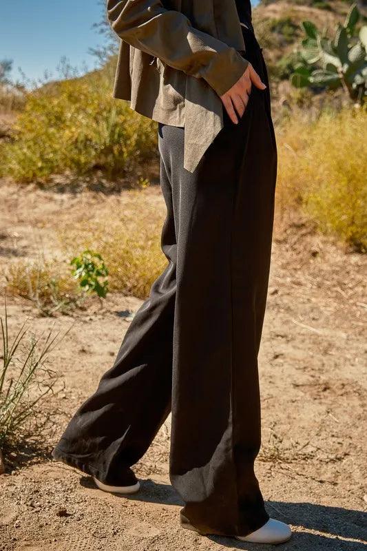 Black And The Why High Waist Front Pleat Wide Legs Pants