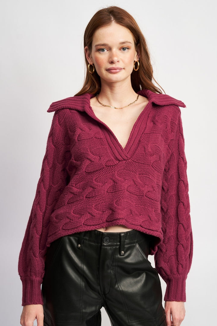 Berry Long Sleeve Collared Sweater