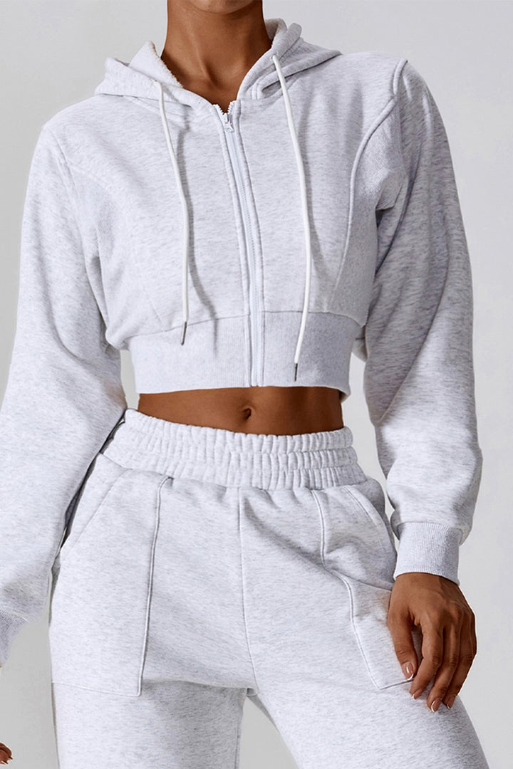 Blue Casual Long Sleeve Zipper Hooded Sweatershirt
