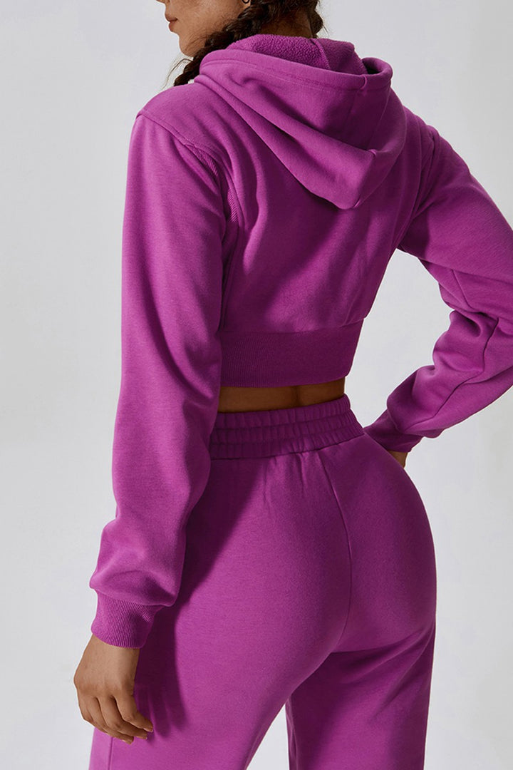 Purple Casual Long Sleeve Zipper Hooded Sweatershirt