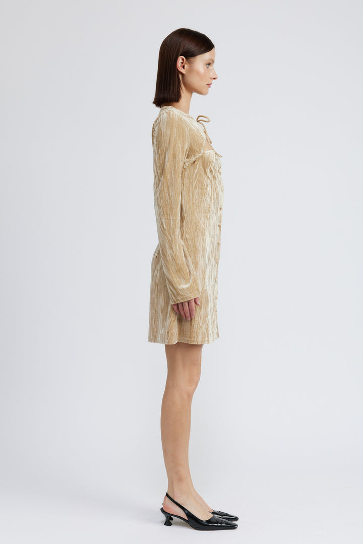 Long Sleeve Mini Suede Dress