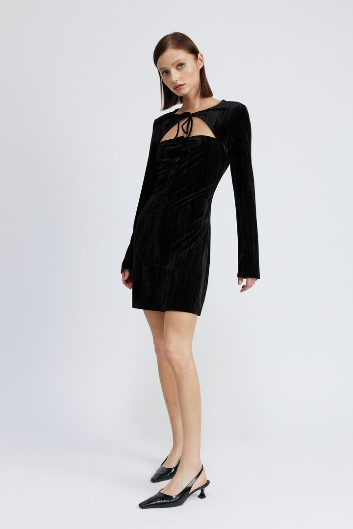 Long Sleeve Mini Suede Dress