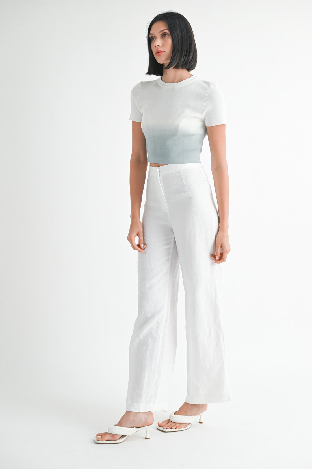 Ombre Crew Neck Cropped Top