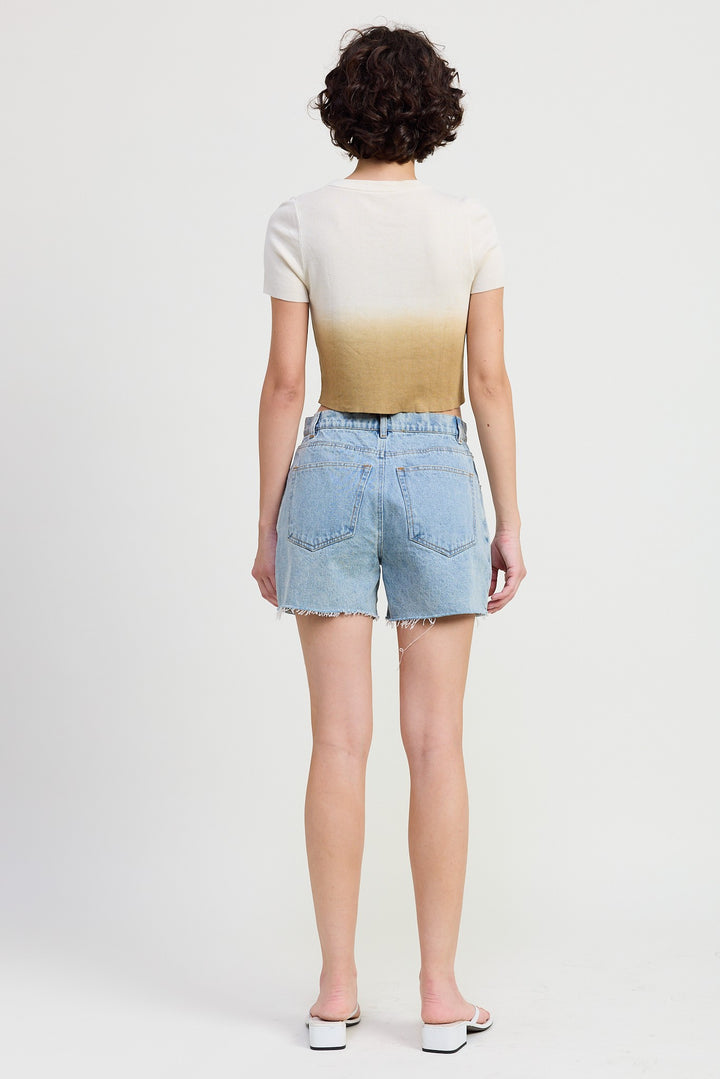 Ombre Crew Neck Cropped Top