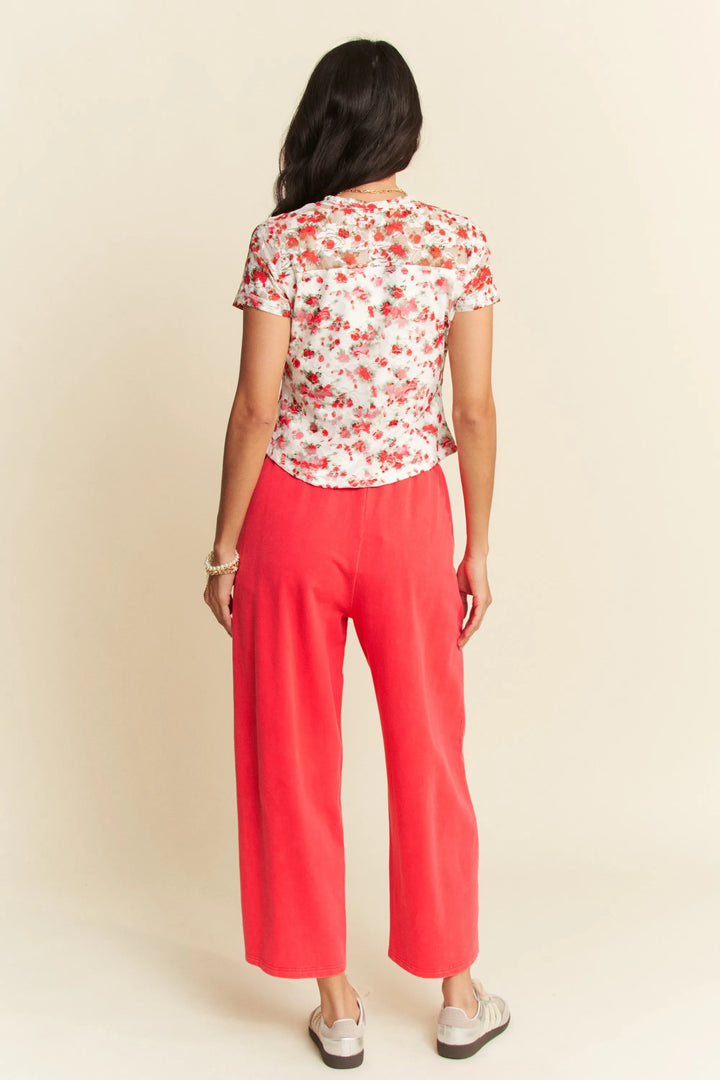 Davi Dani Ribbon Short Sleeve Layered Mesh Top