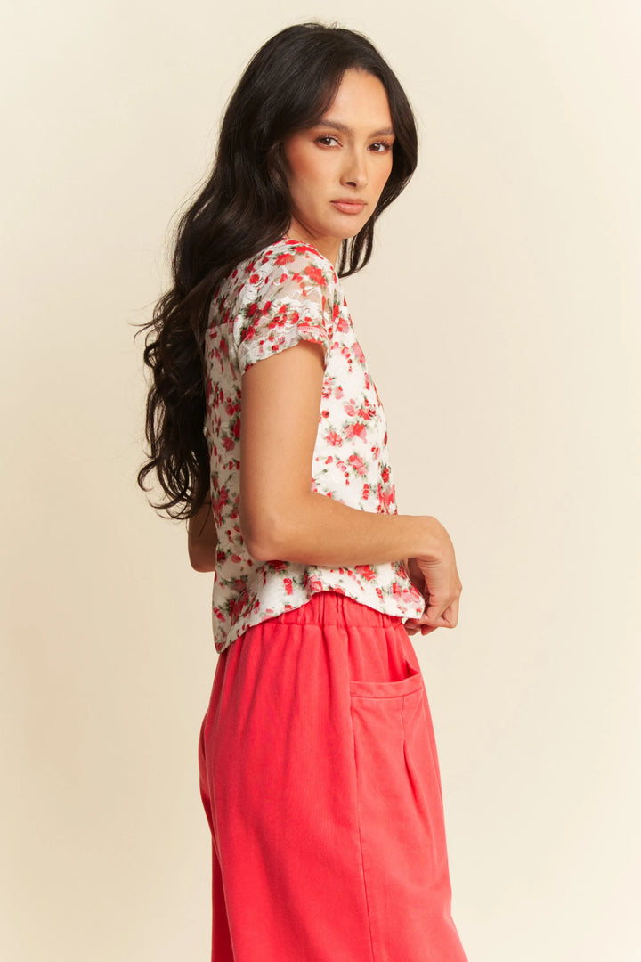 Davi Dani Ribbon Short Sleeve Layered Mesh Top
